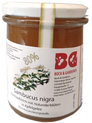 Bild Sambucus nigra