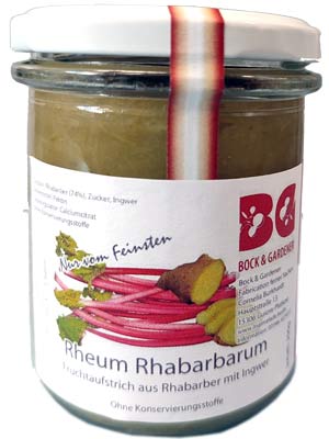 Bild Rheum rhabarbarum