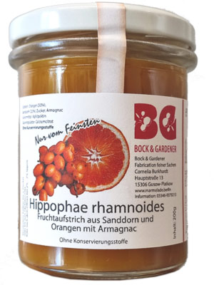 Bild Hippophae ramnoides