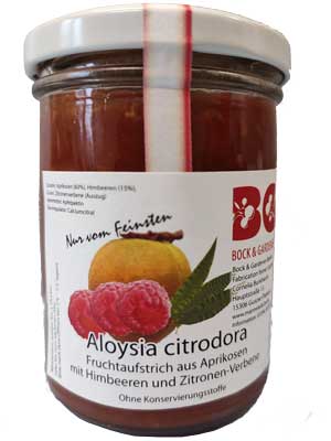 Aloysia citrodora mit Aprikosen und Himbeeren