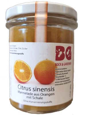 Bild Citrus sinensis